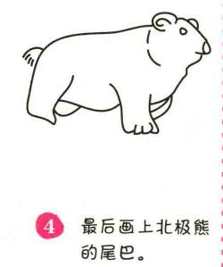 北極熊簡(jiǎn)筆畫畫法步驟04