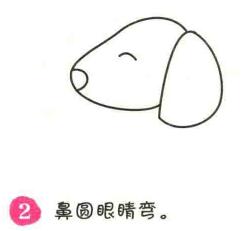 小狗簡筆畫畫法步驟02