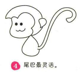 猴子簡筆畫畫法步驟04