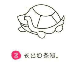 烏龜簡筆畫畫法步驟02