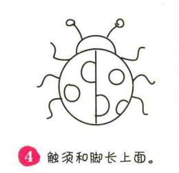 瓢蟲簡(jiǎn)筆畫畫法步驟04