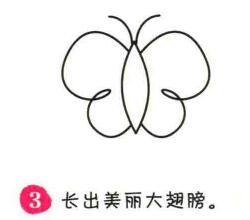 蝴蝶簡筆畫畫法步驟03