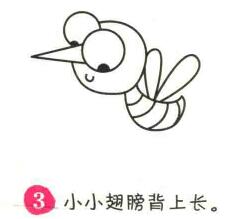 蚊子簡(jiǎn)筆畫(huà)畫(huà)法步驟03