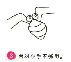 蜘蛛簡筆畫畫法步驟03