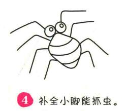 蜘蛛簡筆畫畫法步驟04