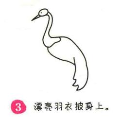 仙鶴簡筆畫畫法步驟03