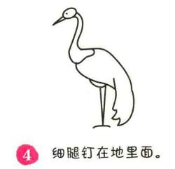 仙鶴簡筆畫畫法步驟04