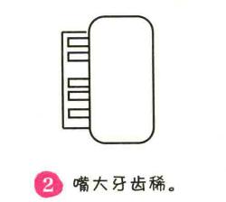 樂器簡筆畫畫法步驟02