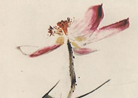 國畫荷花作品圖片