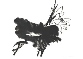 國畫荷花創(chuàng)作示范二