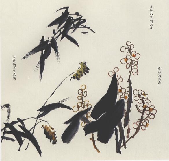 國畫荷花雜草的畫法