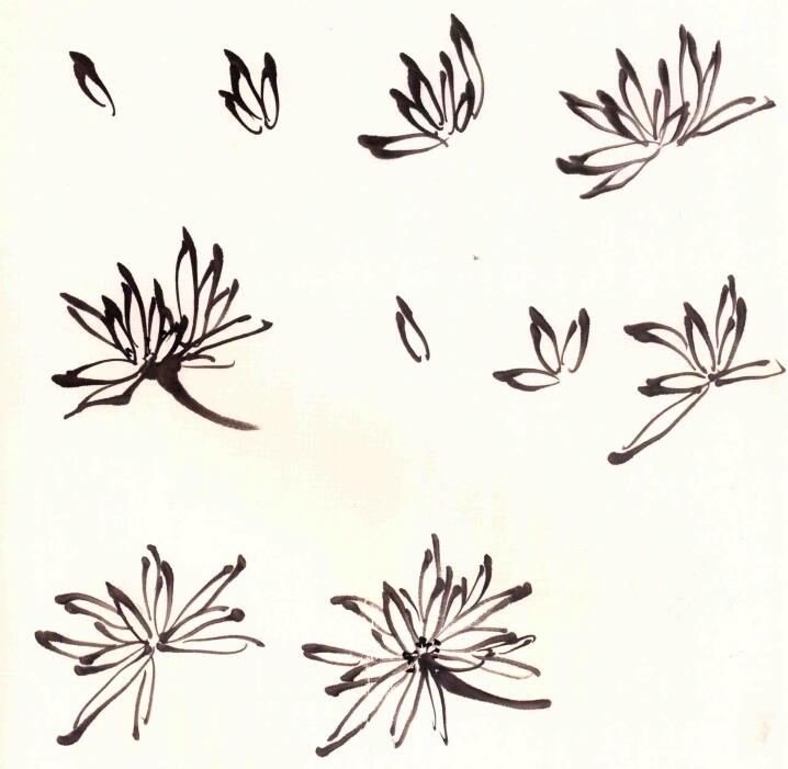 攢頂細(xì)瓣菊花頭畫(huà)法