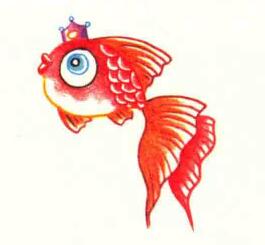 金魚色鉛筆畫畫法步驟05