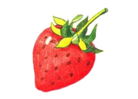 草莓色鉛筆簡筆畫