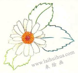 雛菊色鉛筆簡筆畫畫法步驟03