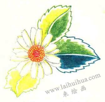 雛菊色鉛筆簡筆畫畫法步驟06