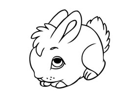 兔子簡筆畫作品（五）