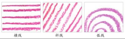 油棒畫色彩技法：線