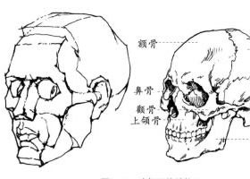 頭像素描的特點(diǎn)