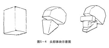 頭部體塊示意圖