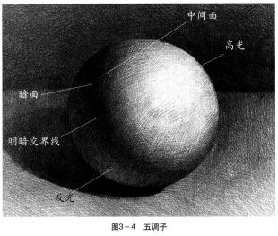素描作畫法則之五調(diào)子