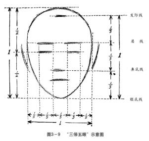 三停五眼 示意圖