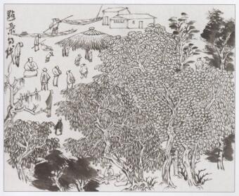 青綠山水基礎(chǔ)畫法：點景