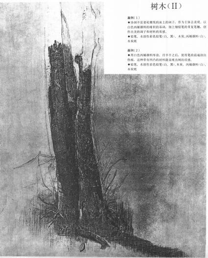 樹木的素描畫02