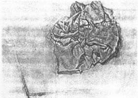 布的素描畫(huà)法范例