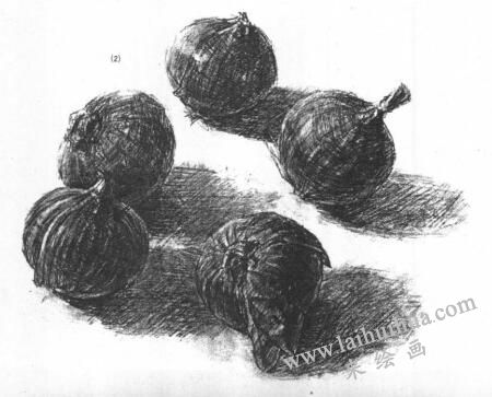 洋蔥的素描畫法范例02