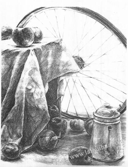 洋蔥的素描畫法范例03