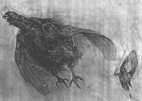 鳥(niǎo)的素描畫(huà)法范例