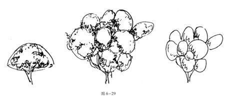 帶樹冠單棵樹的表現(xiàn)技法02
