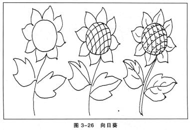向日葵