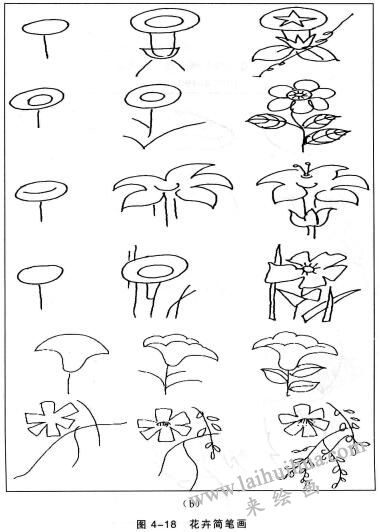花卉簡(jiǎn)筆畫