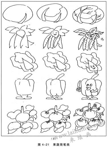 果蔬簡(jiǎn)筆畫