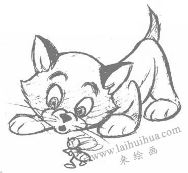 卡通貓的幾何造型圖例步驟06