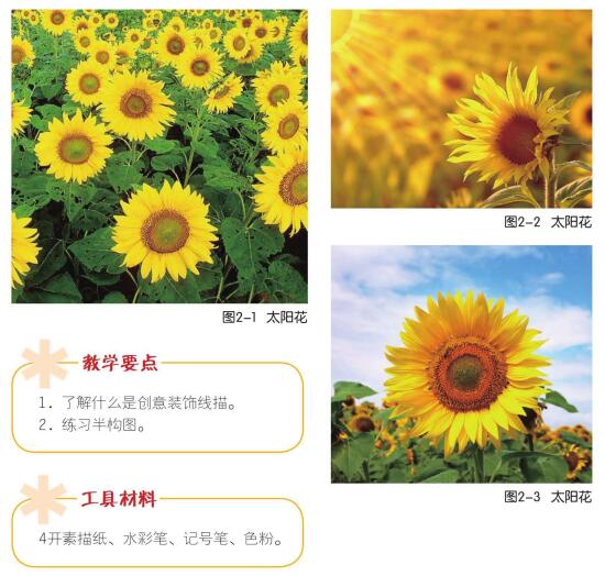 創(chuàng)意花（太陽花）兒童畫創(chuàng)作步驟