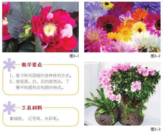 奇異花草兒童畫(huà)創(chuàng)作步驟