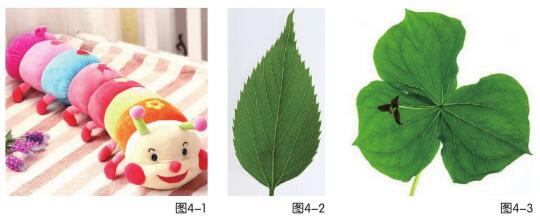 毛毛蟲與樹葉兒童繪畫步驟01,02,03
