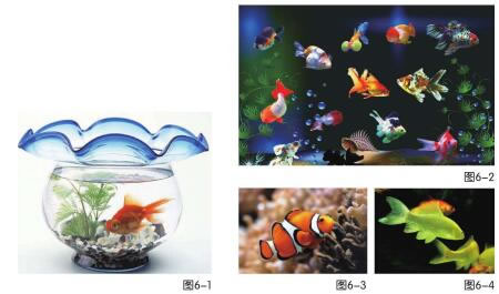 漂亮的魚(yú)缸兒童繪畫(huà)步驟01,02,03,04