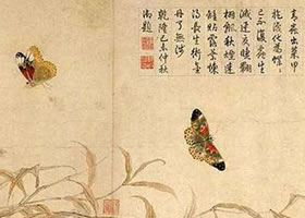 趙昌《寫生蛺蝶圖》賞析
