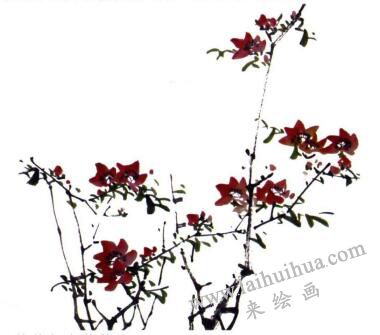 桃花的畫法步驟03