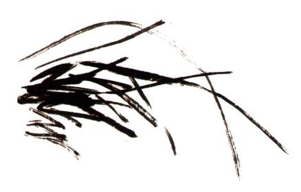 蘭花的畫法步驟02