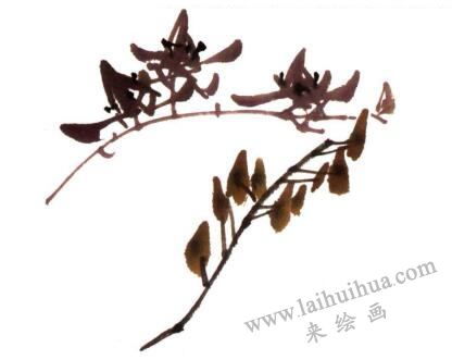 蘭花的畫法步驟04