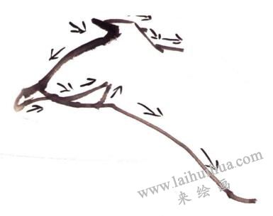 迎春花的畫法步驟01