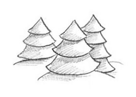 松樹的創(chuàng)意素描畫法