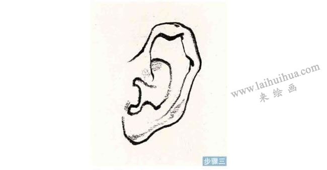 人物耳朵速寫刻畫步驟03