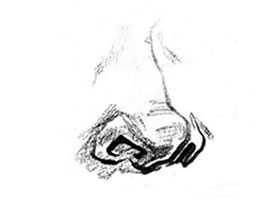 人物鼻子速寫刻畫要領(lǐng)（步驟分析）