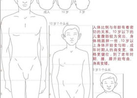 人物速寫中的比例標(biāo)準(zhǔn)